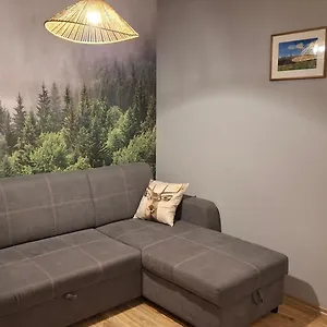 https://apartament-zakopane-kamieniec-10i.zakopanehotels.org